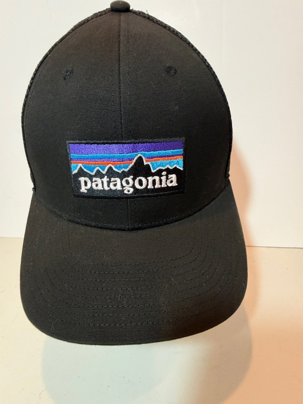 Patagonia 6 Panel Truckers Hat